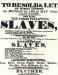 Typical Poster Advertising for Slaves