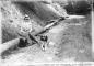 A young lady takes a rest, whilst strolling with her dog