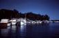 Boats docked at Harbor Island on a busy day