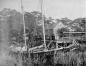 A sailing vessel tied up in the Cornwallis River near Kentville