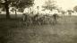 Bicycles were the main mode of transportation during the Mennonites' first years on the Island