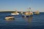 Fleet Of Boats Heading Out To Sea