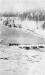 Winter Log Jam at the Dam December 30, 1917