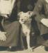 The sailors of the H.M.C.S Transcona brought a dog along named Skipper