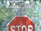 Street sign commemorating the Moroz family name in Transcona