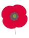 An early 20th century poppy, a symbol of remembrance that is worn during Remembrance Week