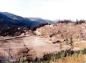 Early development stages of the Whistler Creekside prior to its official opening in 1966. 