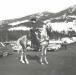 Tex Rodgers, a Buckhorn rancher, helping out in the Whistler parking lot. 