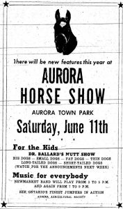 A black and white vertical advertisement for the Aurora Horse Show comprising mostly text below a photograph of a horse's head; ad framed with double lines and a black star at each corner