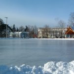 Learning to Skate