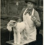 The International All Breed Dog Show, c. 1950s