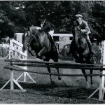 Show Jumping in Town Park