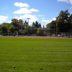 The Ball Diamond