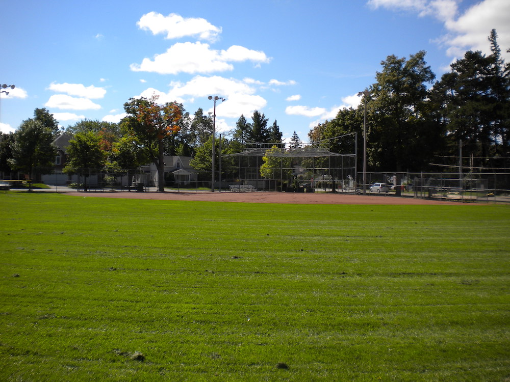 A colour image taken from the outfield of a baseball diamond facing toward homeplate. The majority of the image shows the grass of the outfield and the red dirt of the infield and the fencing behind it is visible in the background.