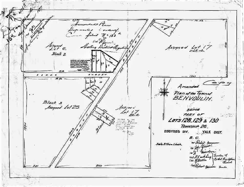 Black and white hand-drawn map of lot sections and roads.