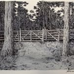 Gate into Guisachan Farm in 1891