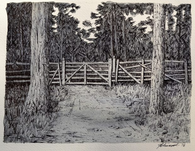 Ink drawing of a farm gate framed by two trees with a forest behind.