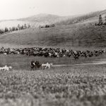 Travelling by Wagon, 1890s