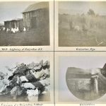 “White Leghorns at Guisachan B.C.”; “Guisachan Pigs”; “Specimen of a Guisachan Cabbage”; “Guisachan”, 1891