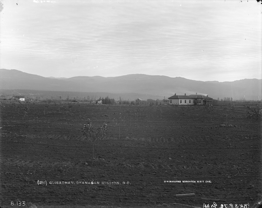 Black & white photo of a young fruit trees. A one-storey house and farm buildings are visible in the background.