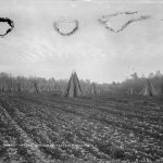 Guisachan Farm Hop Fields, c.1892