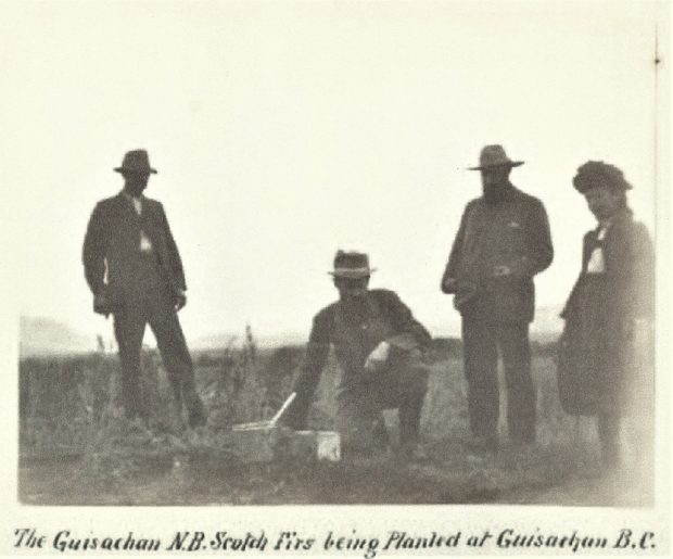 Black and white photo of three men and a woman in a field. The man second from the left is on one knee planting fir trees.