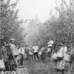 Coldstream, 1898