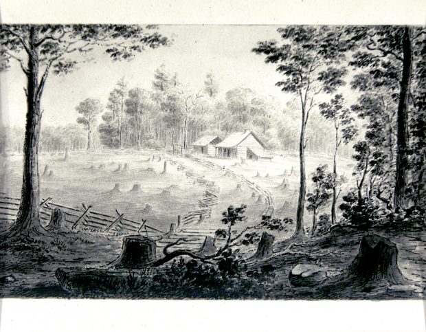 Sketch of a partially cleared piece of land c. 1840. Trees are in the foreground, then stumps and a path to buildings.