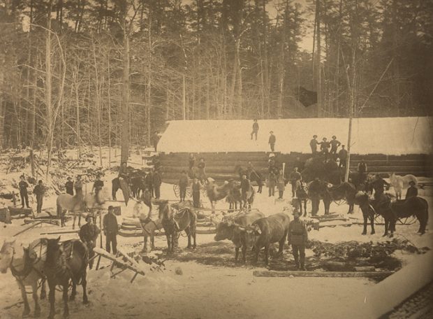 Sepia-tone photograph of a winter scene in a lumbermen’s camp. In the middle ground is a long windowless building of log construction, its roof covered in snow. In front of the building are thirty or so men, a dozen horses and two yoked oxen. In the background is a forest.