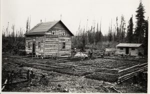 Black & white photograph of a pioneer home. It is a box-shaped house with wood siding and a simple pitched roof. Nearby is a small round-timber shed. To the right of the house is a large garden enclosed by a split-rail fence. Two adults work the garden.
