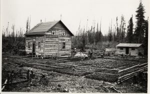 Photographie en noir et blanc d’une habitation de colons. Une maison carrée est recouverte de planches de bois et d’un toit à deux versants droits. À proximité, on retrouve une petite remise en bois rond. À droite de la maison se trouve un grand jardin entouré d’une clôture de perches. Deux adultes y travaillent. 