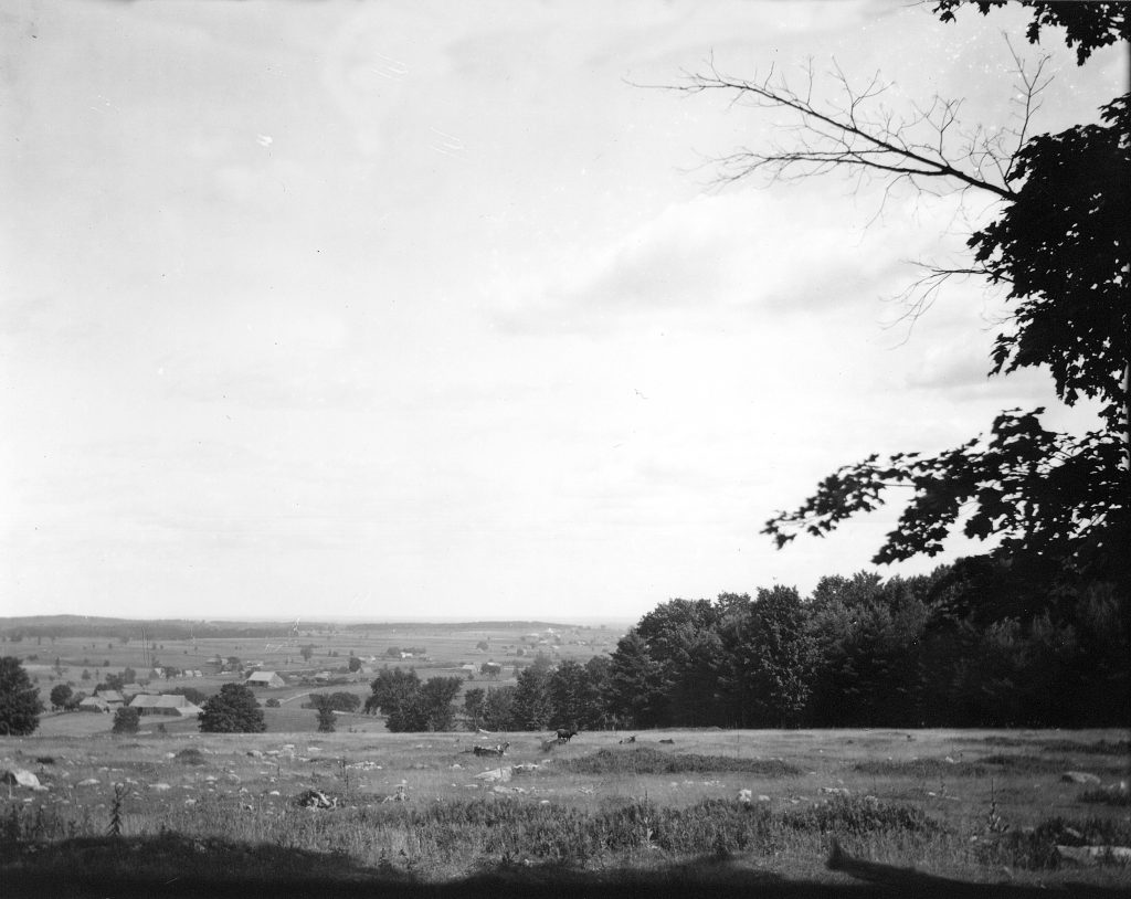 Black & white photograph of a landscape in summertime. In the foreground, a field is seen, with a cow in the middle distance. In the far distance is a plain with a few scattered houses and farm buildings.