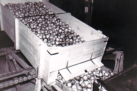 Black and white photo of a large wooden bin filled with apples and tilted forward. Apples are rolling out of a hinged door at the bottom front of the bin.