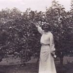 Dorothea Allison, 1912