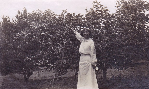 Black and white photo of a young woman wearing a white Victorian style blouse and long white skirt standing in front of a medium-sized apple tree and reaching up to pick an apple.
