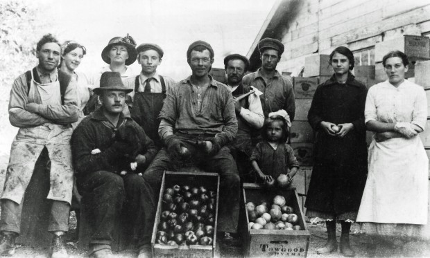 Black and white photo of six men, four women, and one very young girl outside. Behind them is a wooden building. Two wooden boxes of apples are in the foreground; one of the boxes is stamped Towgood, Oyama.