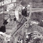 Vernon Fruit Union, Oyama, 1940