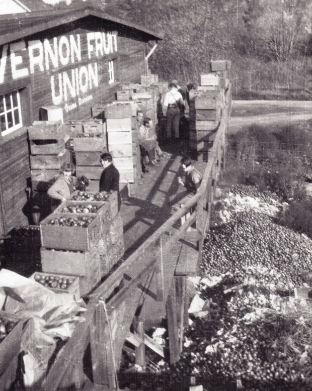 Black and white photo of a wooden building with the words Vernon Fruit Union II, Oyama Division painted on its side. There are nine men and women and many boxes of apples on an outside upper deck. Below the deck, thousands of apples lie in piles on the ground.