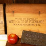 Winoka Cooperative Exchange packing box end and box stamp
