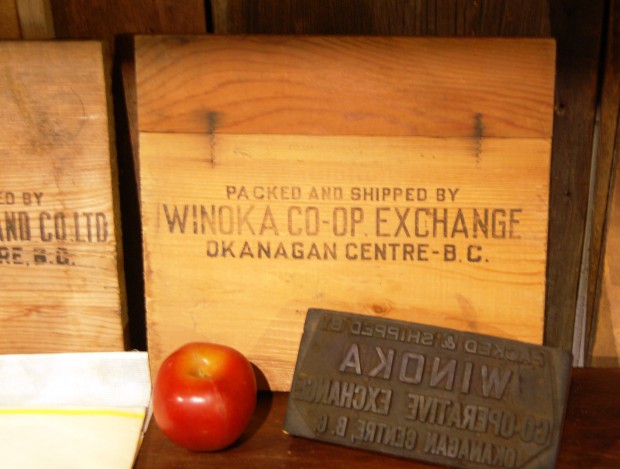 Colour photo of the end of a wooden packing box stamped Winoka Co-op Exchange, Okanagan Centre, BC. The box stamp and an apple are in front.