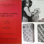 Modern Methods of Packing Apples and Pears, 1913