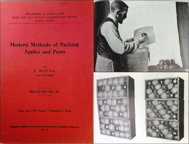 Three part photograph of a booklet. The left section shows the red booklet cover, titled Modern Methods of Packing Apples and Pears, by A. McNeill, Chief, Fruit Division. Published by Direction of the Hon. Martin Rurrell, Minister of Agriculture, Ottawa, Ont., June 1913. Black and white photo top right shows a man wrapping an apple in tissue. Black and white photo lower right shows six packed apple boxes with apples packed in different patterns.