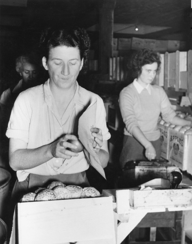 Black and white photo of three women inside a fruit packinghouse. The woman in the foreground is wrapping an apple in tissue.