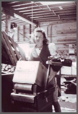 Black and white photo of a young woman standing behind a tilted wooden box. She is inside a building and there is a bin of apples to her right.