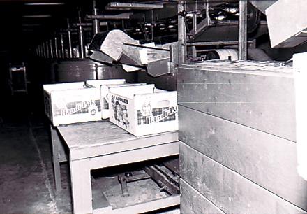 Black and white photo of several cardboard boxes on a table inside a building.