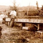 Packing in the orchard