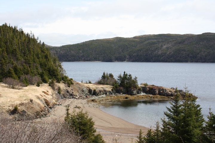 Beach at Parker's Cove