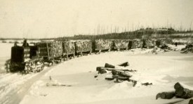 A train of wood carts hauling wood