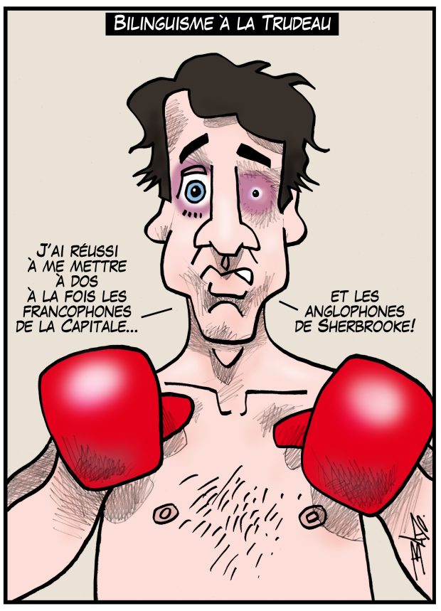 alt= Translated from original French artwork. Title: Trudeau-style bilingualism Illustration: Justin Trudeau after a boxing match, with two black eyes, saying: I managed to turn the francophones in the Capital… and the anglophones in Sherbrooke against me!