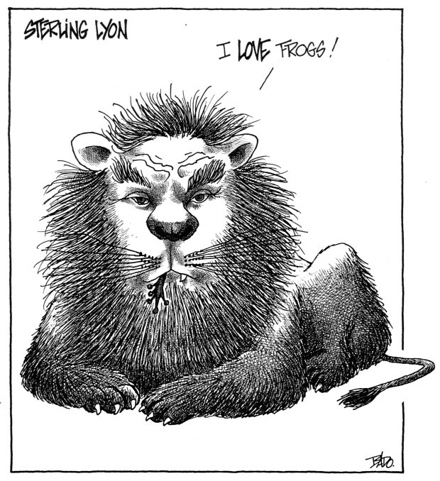 alt= Translated from original French artwork. Title: Sterling Lyon Illustration: Drawing of a lion saying: “I love frogs!”
